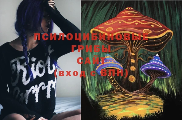mdma Белокуриха