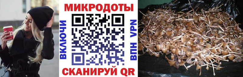 Псилоцибиновые грибы мицелий  как найти закладки  Красавино 
